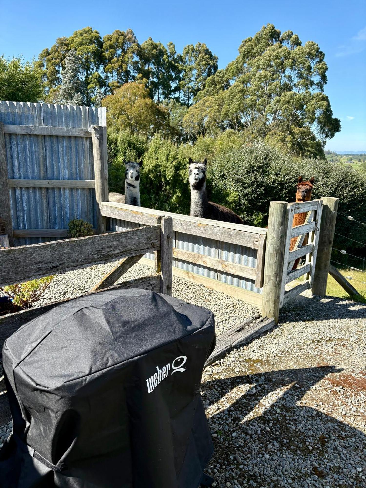 The Shepherd'S Rest Oamaru Ngoại thất bức ảnh